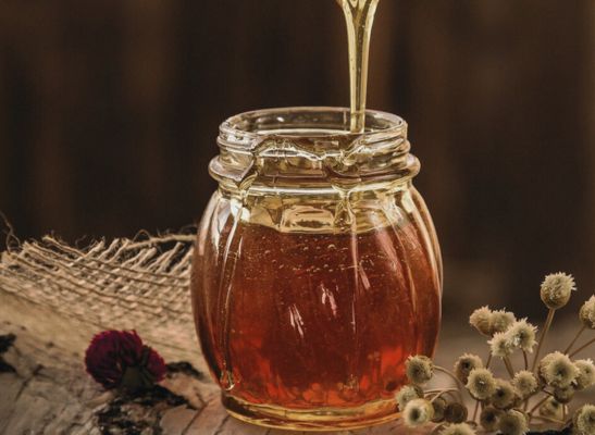 Bio Kräuterhonig